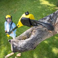 Best Aeration Services  in Montpelier, ID