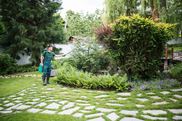 Tree and Shrub Care in Montpelier, ID